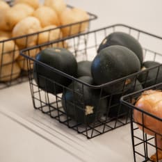 Trendz Of Today Multi-Purpose Metal Storage Basket