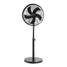 Alva Air Matte Black Drum Pedestal Fan