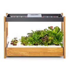 Click & Grow Smart Garden 25 Indoor Gardening Kit