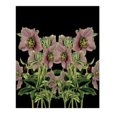 Hendrik Willem Purple Magnolia Botanical A4 Gift Bags, Set of 3