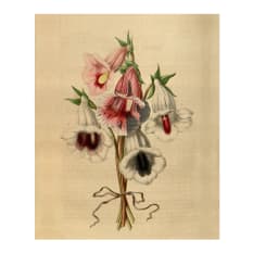 Hendrik Willem Bellflower Bouquet Botanical A5 Gift Bags, Set of 3