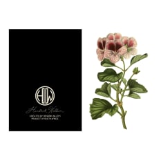 Hendrik Willem Natural Collection Cards, Set of 10