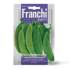 Franchi Sementi Seeds Gigante Sugar Snap Pea Seeds, 40g