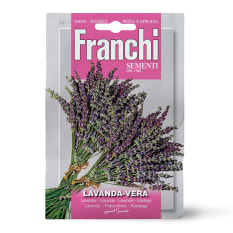 Franchi Sementi Seeds Lavender Seeds, 0.75g