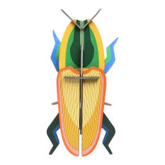 Studio ROOF Small Insects Madagascar Beetle Paper Wall Art