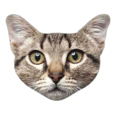 Pikkii Cat Microfibre Glasses and Lens Cleaning Cloth