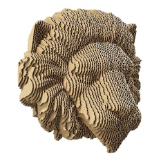 Cartonic 3D Lion Wall Mountable Puzzle Art