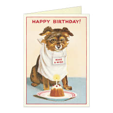 Cavallini & Co Birthday Dog Cake Single Greeting Card