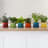 Le Creuset Herb Planter, 14cm