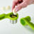 Joseph Joseph Helix Garlic Press with garlic