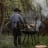 Barebones Cowboy 30 Fire Pit Grill with Adjustable Legs in use