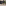 Karcher Spray Extraction Carpet Cleaner on a rug
