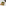 Wusthof Gourmet 12cm Utility Knife