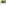 Click & Grow Smart Garden 9 Indoor Gardening Kit pouring water