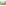 Jenna Clifford Solid Colour Tumbler Glasses, Set of 4 - Green Product Packaging 