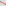 Wusthof Classic Chef's Knife, 20cm - Coral Peach detail
