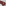 Wusthof Classic Chef's Knife, 20cm - Tasty Sumac detail