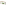 MicroGarden Microgreens Cabbage Seeded Grow Pads Refill, Pack of 5