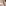 Linen House White Manon Coverlet Quilt Set - Double/Queen