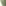 Blim Plus Cosmo Colander - Forest Dark detail