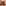 Bosch MyMoment Kettle, 1.7L - Red pouring water