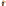 Luuks Jackie Leather 1-Bottle Wine Cooler detail