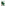 Franchi Sementi Seeds Marketmore Cucumber Seeds, 3g