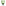Jenna Clifford Eclipse Juice Glasses, Set of 4 - Light Green