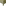 Cara Saven 4 Decor Linen Jane Tablecloth detail