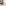 Eufy G50 Hybrid Robot Vacuum Cleaner on laminated flooring in the bedroom
