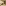 Alkaline Serenity Toothbrush Tumbler  - Mocha