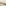 Thread Office Natural Lux Fur Comforter - King/Super King
