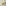 Thread Office Natural Lux Fur Comforter - King/Super King