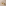 Paddywax Cabana Gold Coast Striped Ceramic Scented Candle, 184g