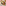 Le Creuset Coupe Serving Platter, 43cm - White as a cheese platter