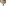 Cara Saven Decor Calivra Tablecloth - 6-8 Seater