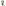 Humble & Mash Small Scallop Table Lamp - Sage