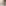 Ecovacs Deebot N20 Pro Omni Robot Vacuum Cleaner