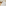 Linen House Marceau White Coverlet Set - 270cm x 260cm