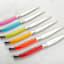 Laguiole by Andre Verdier Steak Knife Set with Stand, 6-Piece - Spring Mix on the table