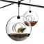 Eva Solo Hanging Bird Feeder