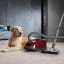 Lifestyle image of Miele Cat & Dog 2000W Bagged Cylinder Vacuum Cleaner