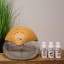 Crystal Aire Standard Air Purifier with Natural Lid on the table with concentrate