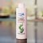 Crystal Aire Air Purifier Concentrates, 200ml- Eucalptus