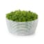 OXO Good Grips Little Salad & Herb Spinner