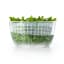 OXO Good Grips Little Salad & Herb Spinner