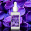 Aura French Whisper Fragrance Oil, 30ml