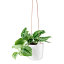 Eva Solo Self-Watering Hanging Pot - Chalk White