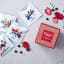 Secco Festive Gin Infusions, Pack of 8 on the table