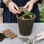 Sow Delicious Pure Collection Slab of Seed Spinach being potted in an pot plant 